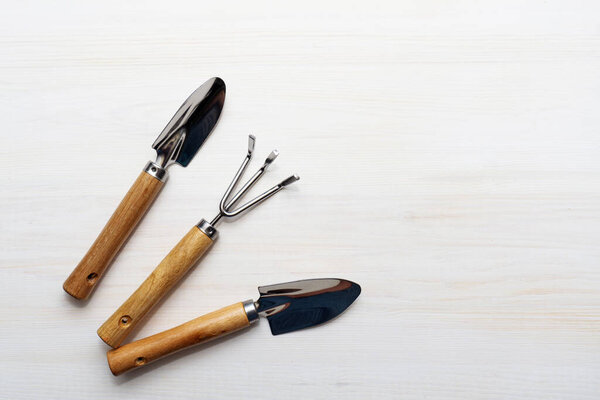 Садоводство дома. Выращивание саженцев на подоконнике. Садовые инструменты на белом деревянном изолированном фоне. Копирайт для текста, вид сверху, плоская компоновка.