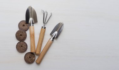 Evde bahçıvanlık. Pencere kenarında büyüyen çiçekler, fidanlar. Beyaz ahşap yalıtımlı arka plandaki bitkiler için malzeme ve baskılı toprak. Metin, üst görünüm ve düz düzen için telif alanı.