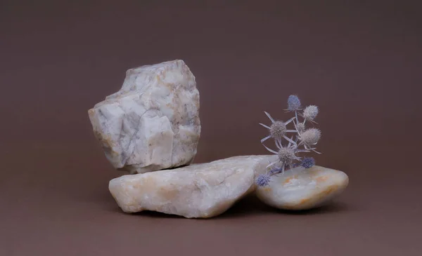 Antecedentes Para Cosméticos Pódio Três Pedras Diferentes Buquê Flores Secas — Fotografia de Stock