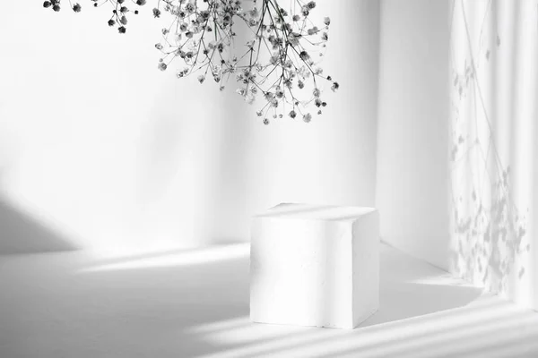 Beyaz 3D podyum, paketleme ve kozmetik sunumları için. Köpük küpü ve çiçeğin bir kısmı temiz duvarların arkasında. Sert güneş ışığının gölgesi. Güzellik endüstrisi kavramı.
