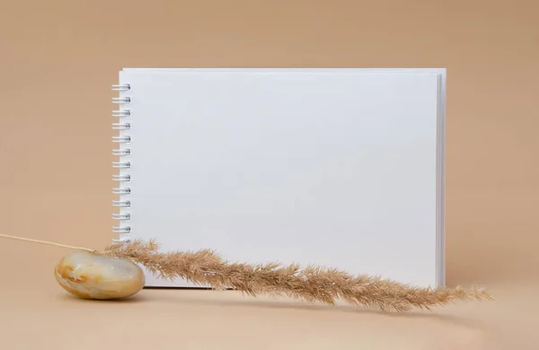 きれいな白いページ 草の乾いた小枝 孤立した背景の石でノート 柔らかいベージュのパステルの背景 コピースペース 広告用テンプレートの概念 — ストック写真