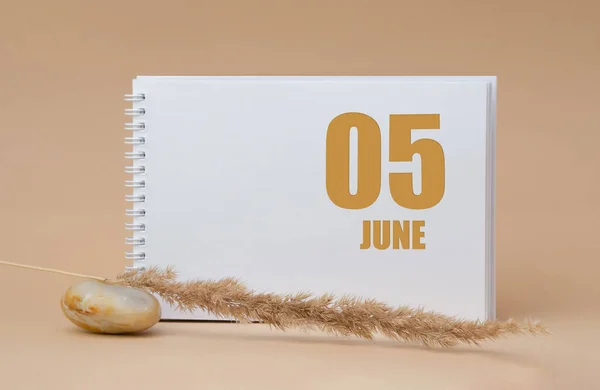 June 05Th Day Month Calendar Date White Blank Sheet Notepad — Stock Photo, Image