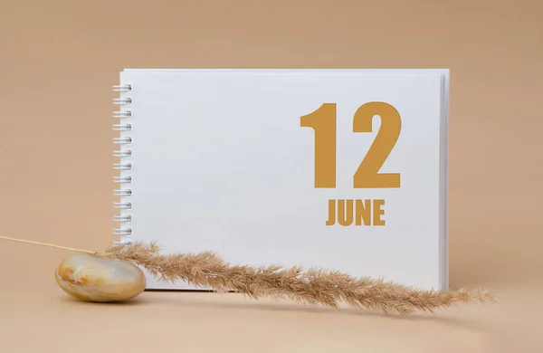 June 12. 12th day of the month, calendar date.White blank sheet of notepad, stones, dry sprig of grass, on beige background.Summer month, day of the year concept — Stock Photo, Image