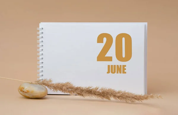 June 20. 20th day of the month, calendar date.White blank sheet of notepad, stones, dry sprig of grass, on beige background.Summer month, day of the year concept — Stock Photo, Image