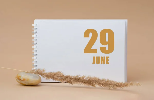 June 29. 29th day of the month, calendar date.White blank sheet of notepad, stones, dry sprig of grass, on beige background.Summer month, day of the year concept — Stock Photo, Image