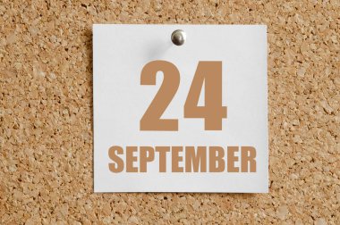 24 Eylül. Ayın 24 'ü, takvim tarihi. Kahverengi mantar panoya takılı beyaz takvim kağıdı. Sonbahar ayı, yılın günü konsepti..