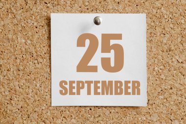 25 Eylül. Ayın 25. günü, takvim tarihi. Kahverengi mantar panoya eklenmiş beyaz takvim kağıdı. Sonbahar ayı, yılın günü konsepti..