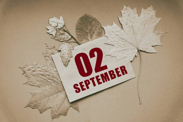 9月2日 月の2日目 カレンダーの日付日付茶色の背景に秋の葉に囲まれた日付と月のエンベロープ 年の概念の日 — ストック写真