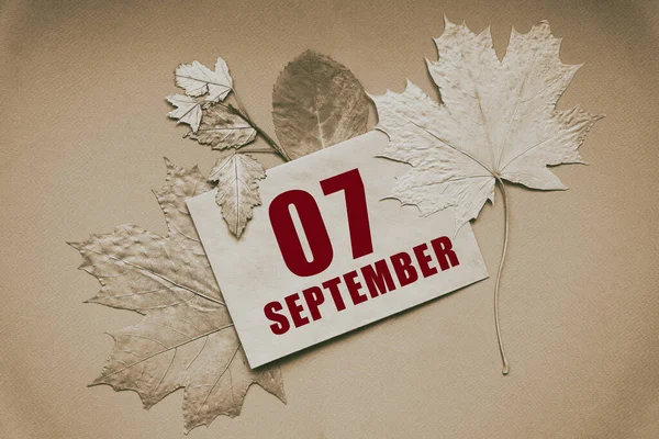 9月7日 日付と月の封筒 茶色の背景に秋の葉に囲まれて 年の概念の日 — ストック写真
