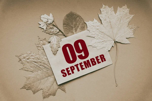 Setembro 09O Dia Mês Data Calendário Envelope Com Data Mês — Fotografia de Stock