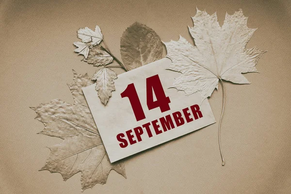 데이트 날짜와 배경에 나뭇잎으로 둘러싸여 — 스톡 사진