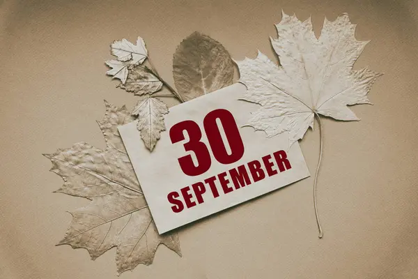 데이트 날짜와 Envelope 배경에 나뭇잎으로 둘러싸여 — 스톡 사진
