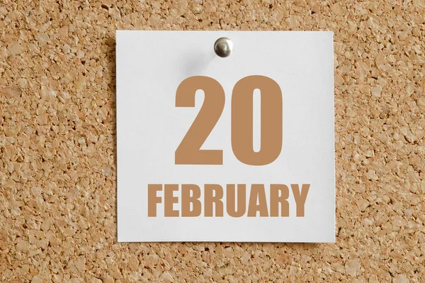 Στις Φεβρουαρίου 20Η Ημέρα Του Μήνα Ηµερολογία Λευκό Ηµερολογιακό Φύλλο — Φωτογραφία Αρχείου
