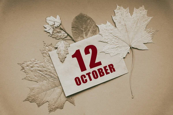 Octubre 12º Día Del Mes Fecha Del Calendario Sobre Con —  Fotos de Stock