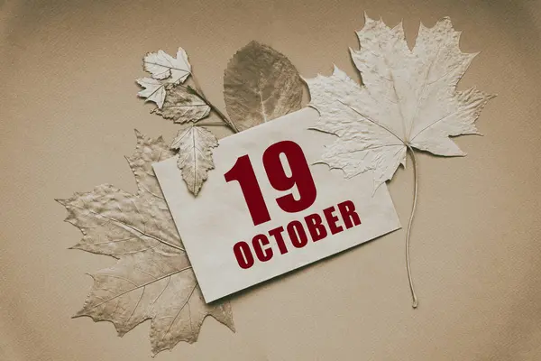10月19日 月の19日 暦日日付茶色の背景に秋の葉に囲まれた日付と月のエンベロープ 秋の月 年の概念の日 — ストック写真