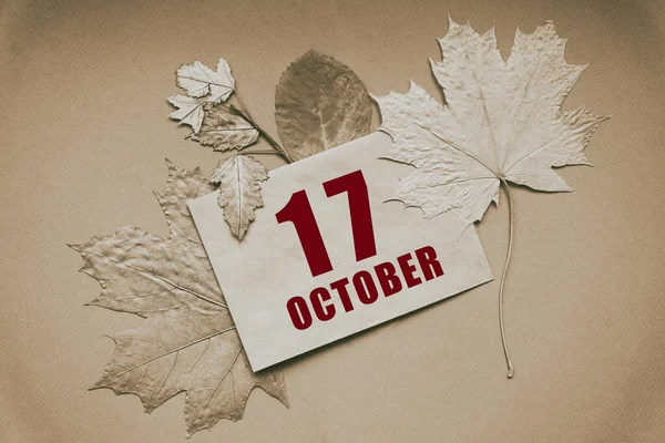 시오반 데이트 날짜와 Envelope 배경에 나뭇잎으로 둘러싸여 — 스톡 사진