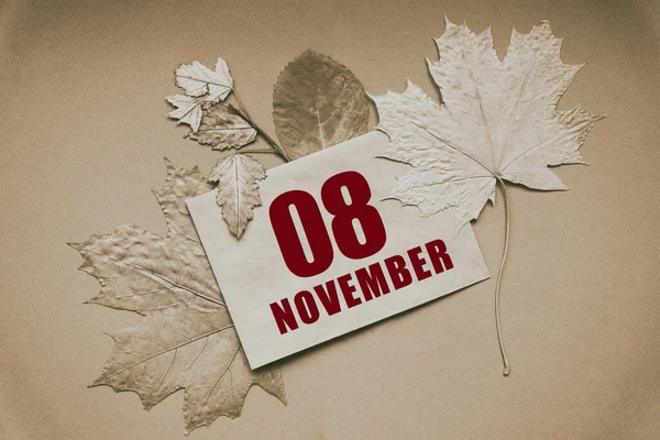 Νοέμβρη 08Η Ημέρα Του Μήνα Ημερολόγιο Φάκελος Την Ημερομηνία Και — Φωτογραφία Αρχείου