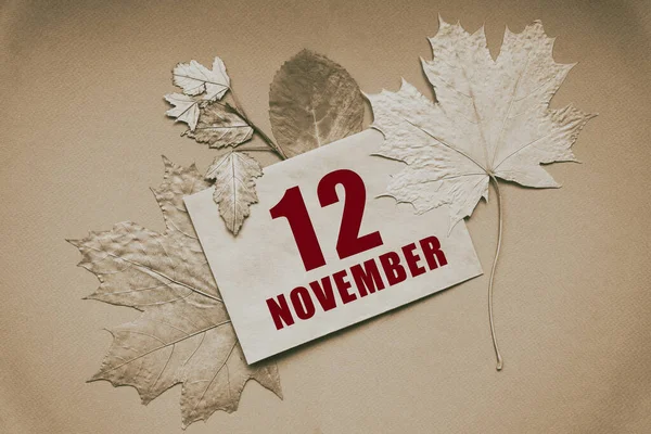 Listopad Dzień Miesiąca Data Kalendarzowa Koperta Datą Miesiącem Otoczona Jesiennymi — Zdjęcie stockowe