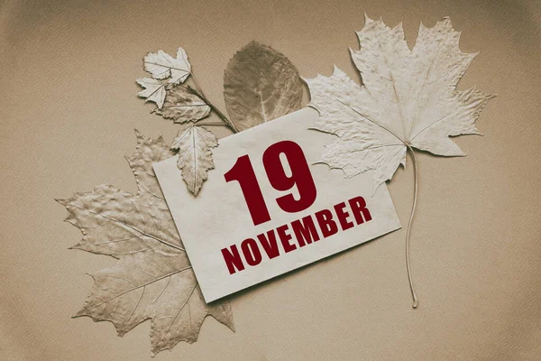 11月19日每个月的第19天 日历日期 包裹着日期和月份 周围是秋天的叶子 背景是褐色的 年月日概念 — 图库照片