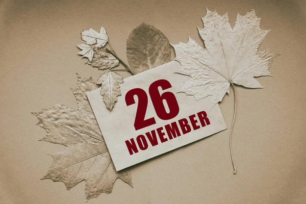 November Tag Des Monats Kalenderdatum Umschlag Mit Datum Und Monat — Stockfoto