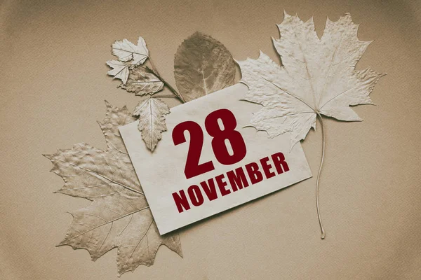 Novembro Dia Mês Data Calendário Envelope Com Data Mês Cercado — Fotografia de Stock