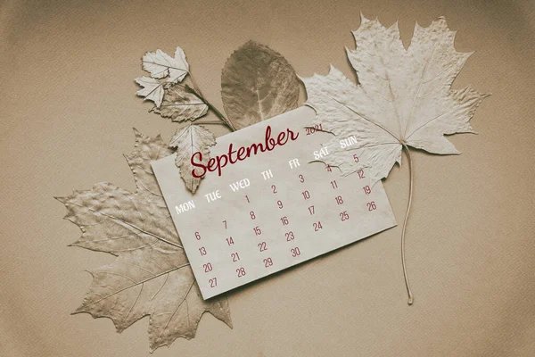 Página del calendario para el mes completo: septiembre 2021. Sobre con fecha y mes, rodeado de hojas de otoño sobre fondo marrón. Mes de otoño. Concepto de fecha del calendario —  Fotos de Stock