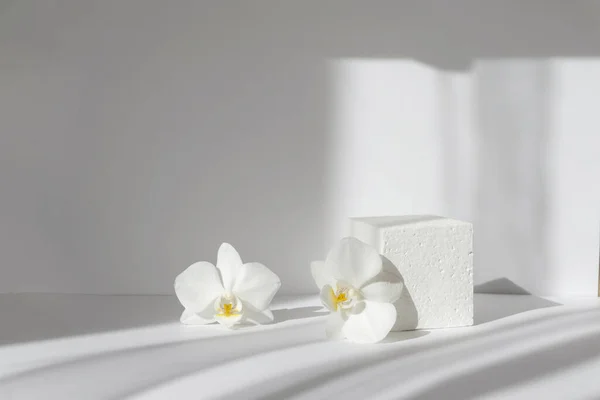 Geometrik beyaz 3d podyum ambalaj ve kozmetik sunumları için. Sabah güneşinin altında, orkide çiçekleriyle çevrili köpük küpü..