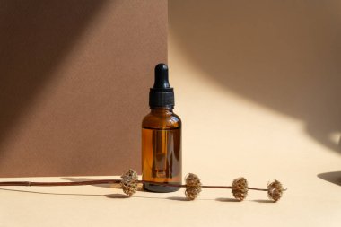 Cam damlatıcı şişesi ve yakın plan kahverengi çimen filizi. Güneş ışığının sabah ışınlarında soyut bej-kahverengi arkaplan.