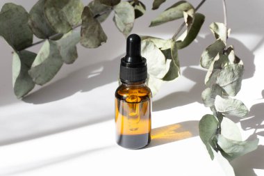 Bir ağaç dalının yaprakları arasında düşen şişenin taklidi. Güneş ışınları nesnenin üzerine düşüyor, masanın yüzeyine gölgeler düşüyor. Güzellik endüstrisi, vücut bakımı, aromaterapi kavramı.