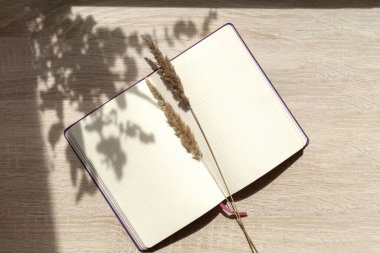 Ahşap masanın üzerinde güneş ışığı altında temiz bej çarşaflı defter kopyası. Dry Spike sayfaların üzerinde yatıyor. Yaprakların gölgesi nesnenin yüzeyine düşer.