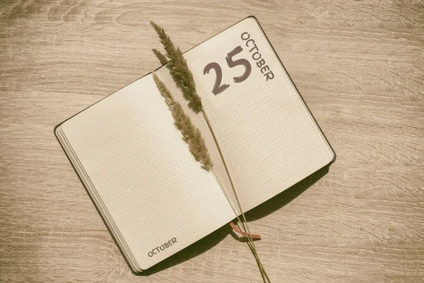 25 de octubre. 25 días del mes, fecha del calendario.Las páginas en blanco del cuaderno son de color beige, con espiguillas secas. Concepto de día del año, planificador de tiempo, mes de otoño. — Foto de Stock