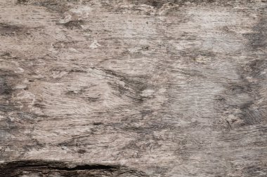  Kesilen ağaç gövdesi, ağaç halkalarının ahşap dokusunu kapat