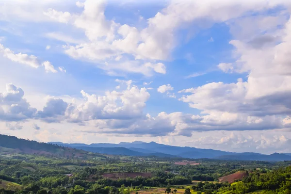 雲の多い空と竹の床を持つ雨の森と山の美しい風景 — ストック写真