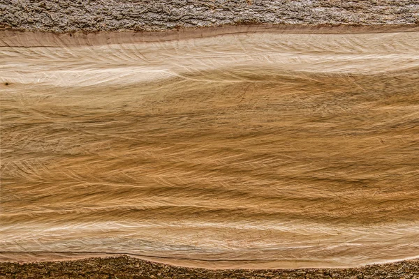 Kesilmiş ağaç gövdesi yakın çekim ahşap doku — Stok fotoğraf