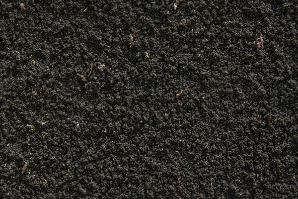 Black soil texture — Stock Photo, Image