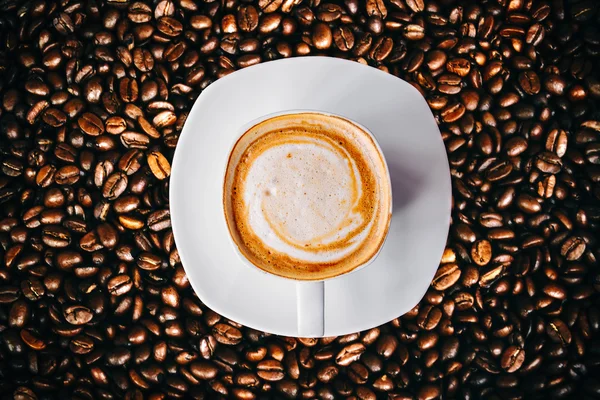Блеск кофейных зерен — стоковое фото