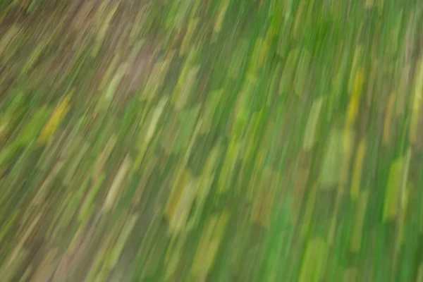 Abstract green motion blurred background from park running on roadside