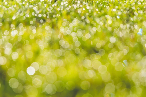 Desfocado de orvalho da manhã na grama com reflexos de luz solar — Fotografia de Stock