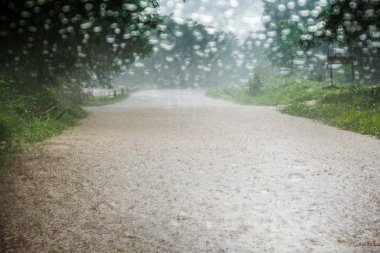 Acarlar cam Araba, yağmur damlaları yolda bulanık Driving lütfen dikkatli yağmurlu zaman içinde