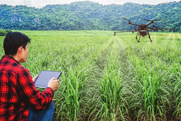 Man hand agriculture drone fly to spray fertilizer on the sugarcane fields. Industrial agriculture and smart farming drone technology