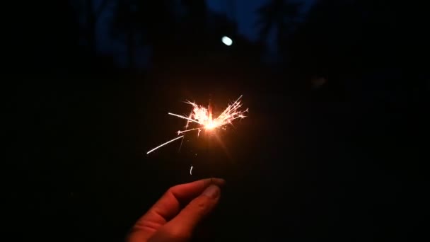 Hand holding firework sparkle exposed texture in celebrating night — Stock Video