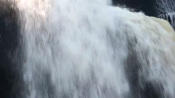 Крупный план водопада в парке, замедленная съемка — стоковое видео