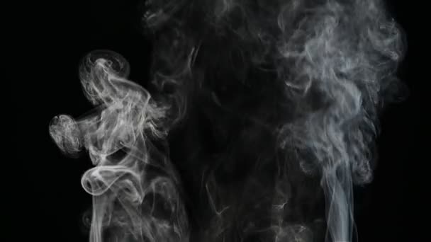 Närbild rök över svart bakgrund för overlay design — Stockvideo