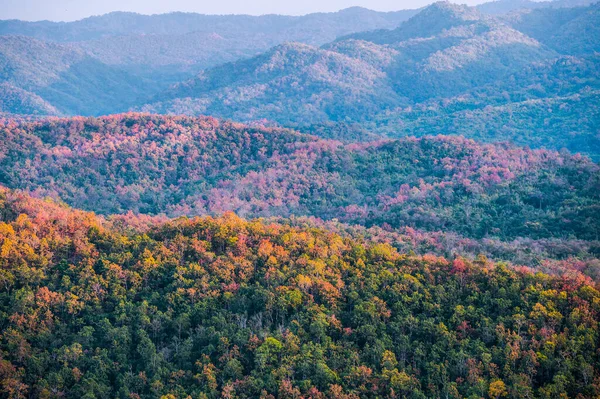 紅葉の多い秋のカラフルな落葉樹林、四季折々の景色を一望できる木々の上にオレンジと緑の葉 — ストック写真
