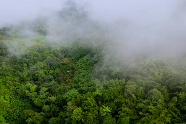 農業地域と丘の田舎の霧の日の風景霧のフィールド上の緑の山のコテージ — ストック写真