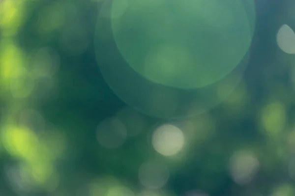 Green bokeh nature shiny background — Stock Photo, Image