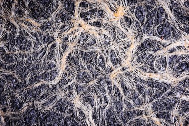 kök toprak arka plan doku