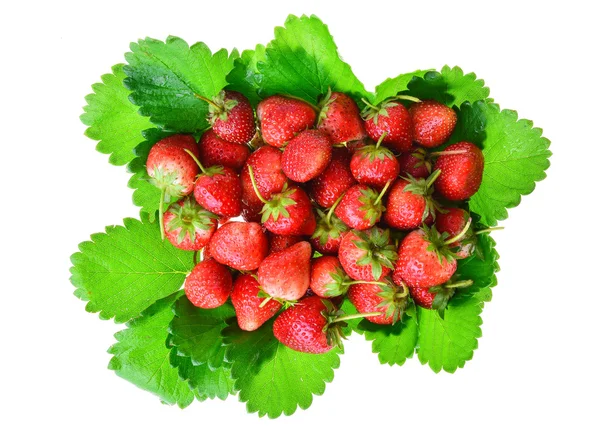 갓 익은 딸기 - 식품이 배경을 장식하다 — 스톡 사진