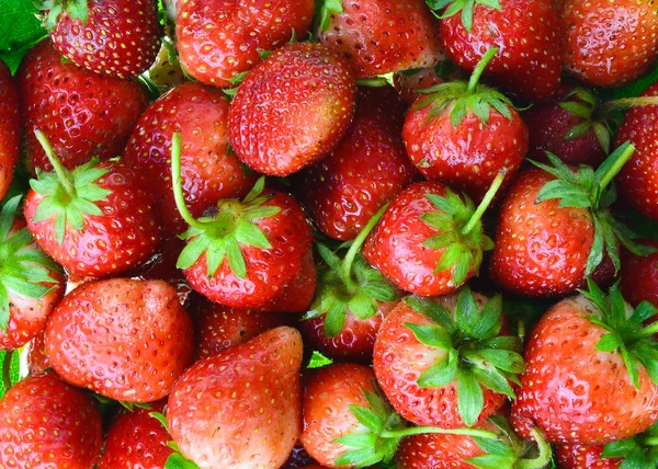 Frische reife perfekte Erdbeere - Food Frame Background — Stockfoto