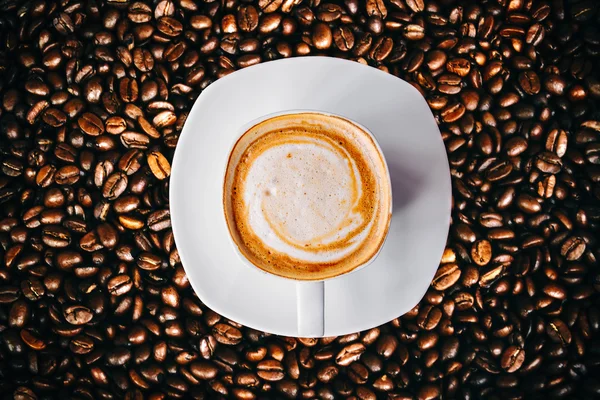 Glittering of coffee beans — Stock Photo, Image